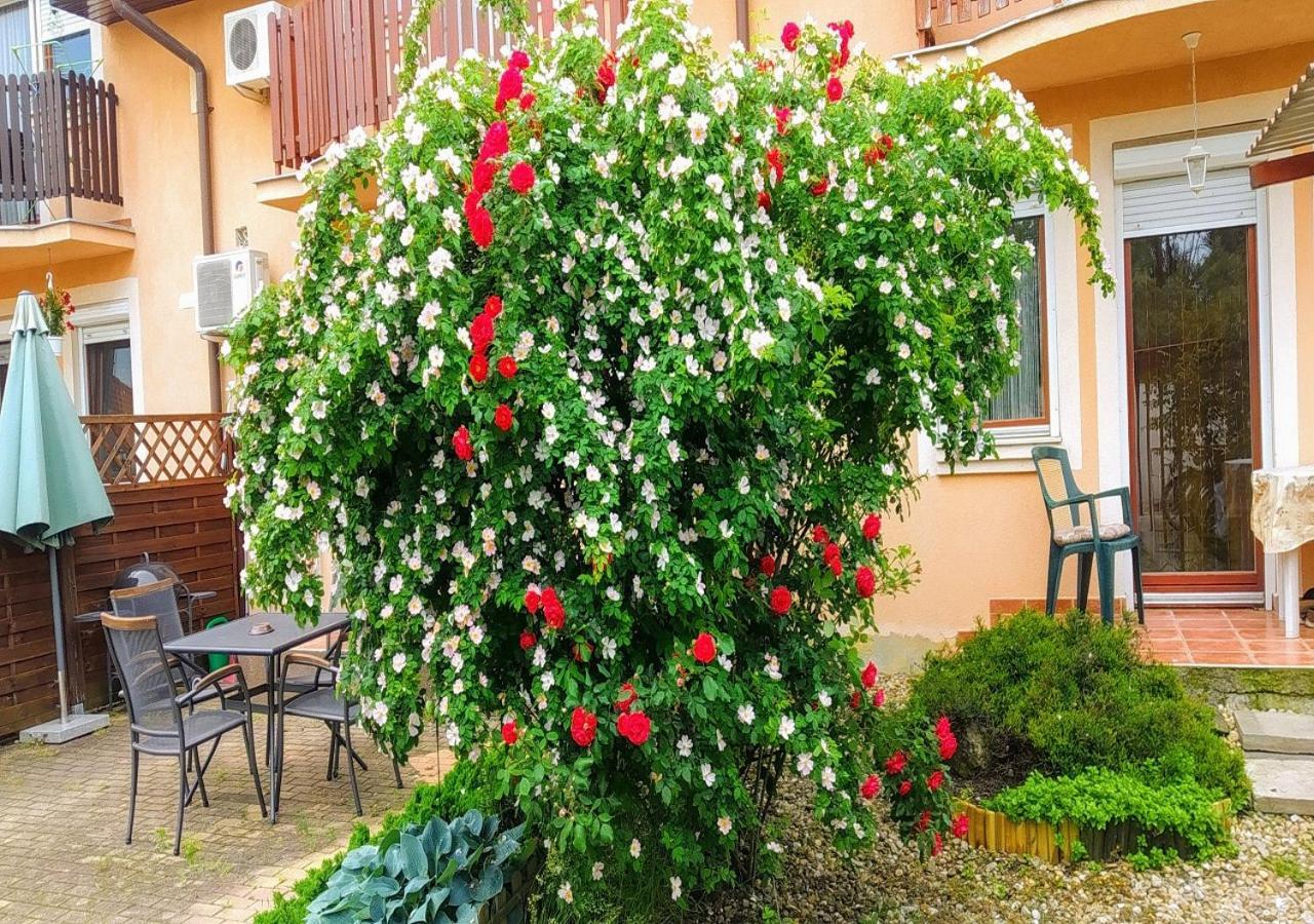 Hellasz Apartman Gyula Exterior foto